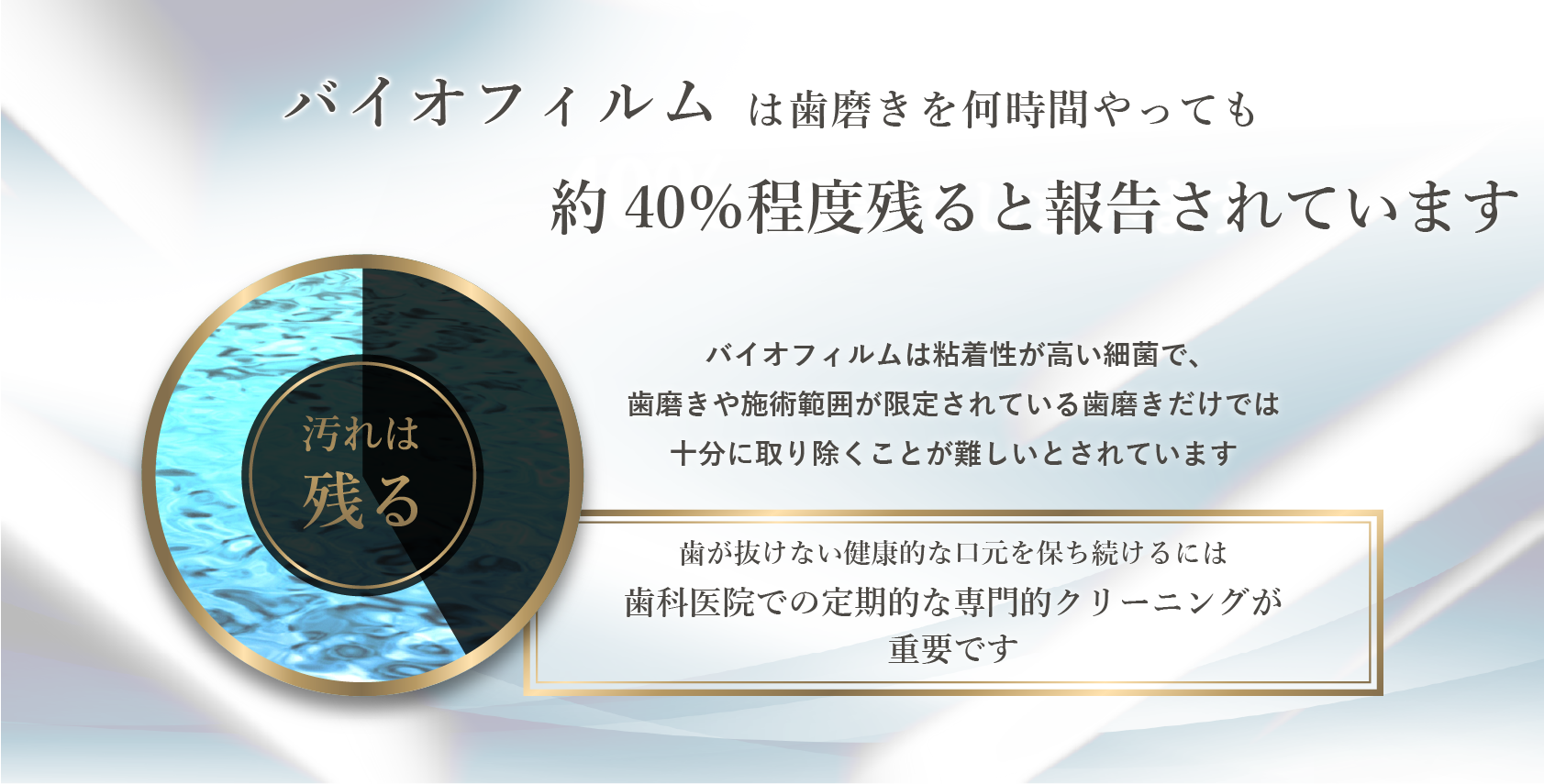 バイオフィルムの説明