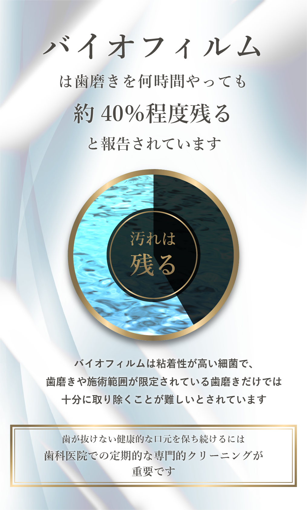 バイオフィルムの説明